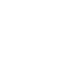 E-Learning-Lokalisierung